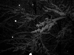 Propaganda di Guerra